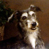 problem Icon