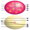 problem Icon