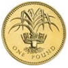 problem Icon